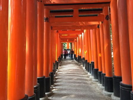 大きい千本鳥居