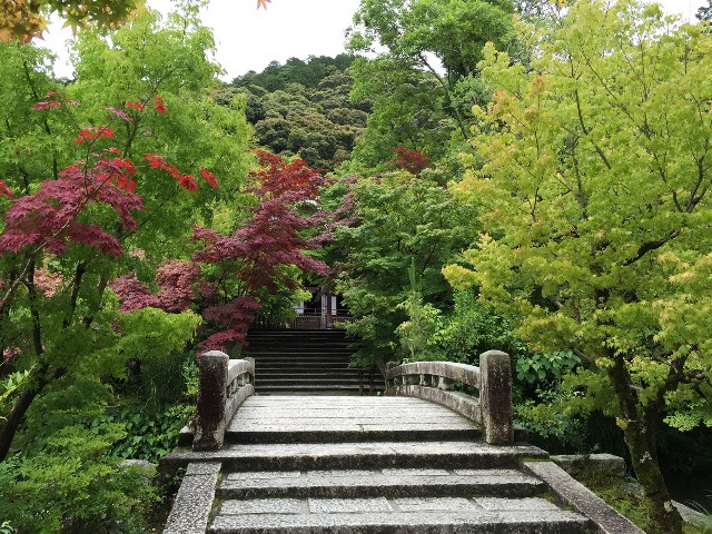 紅葉の散歩道