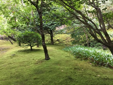 銀閣寺の庭園