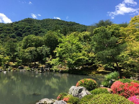 庭園と池